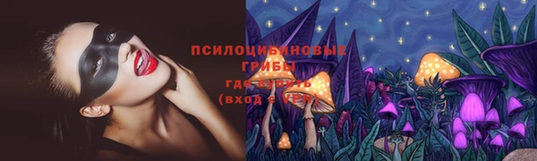 прущие крисы Козельск