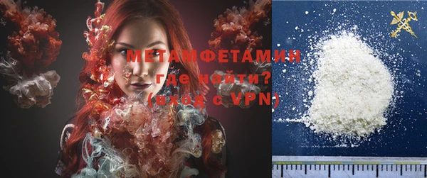 прущие грибы Фурманов